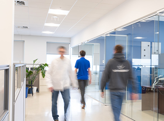 Employees walking through a bright corridor in a modern office space, featuring glass walls, glass partitions, and decorative plants